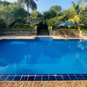 The Nature Palace Villa