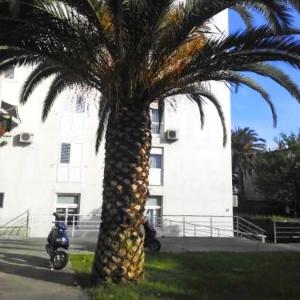 Apartments with a parking space Makarska - 11567