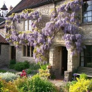 Hotels near The Royal Bath and West of England Showground - Maplestone