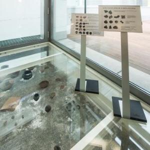 Sequoie Music Park Bologna Hotels - Camplus Guest Bononia Casa per Ferie