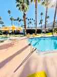 Mesquite Golf And Country Club California Hotels - A PLACE IN THE SUN Garden Hotel - Big Units With Privacy Gardens & Heated Pool & Spa In 1 Acre Park Prime Location, PET Friendly