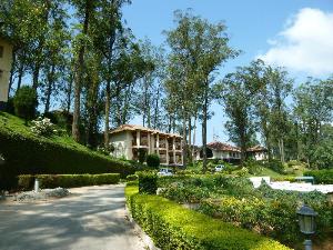 Tea county, Munnar