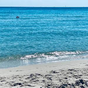 summer love -209 -18