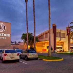 Hotels near Whiskey North - Doubletree By Hilton Tampa Airport - Westshore