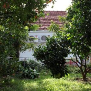 Apartments with WiFi Trsteno Dubrovnik - 4746