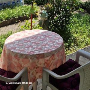 Cute studio with garden and terraceby the sea