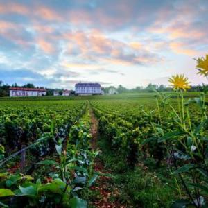 Gites Chateau Comblanchien