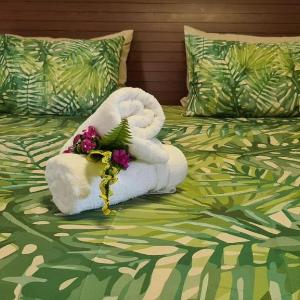 Tauraatini house F4- MOOREA Maatea