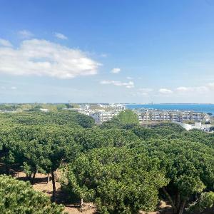 LA GRANDE MOTTE – T2 VUE MER ET PINÈDE – 4 PERSONNES – PARKING PRIVATIF