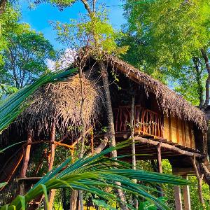 Green Land Tree House Sigiriya