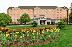 Hilton Garden Inn Albany Airport, Albany