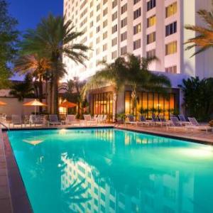 Hotels Near Jannus Live Saint Petersburg Fl Concerthotels Hilton St Petersburg Bayfront
