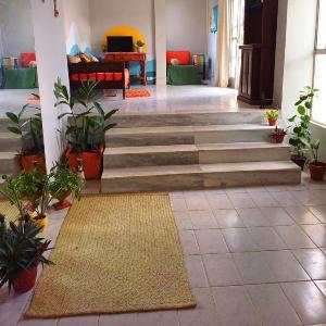 Maréia Hostel
