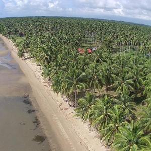 la caballa beach resort bar & grill