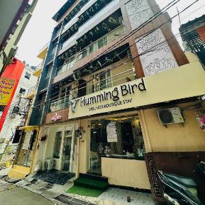 Humming Bird - Luxury Stay