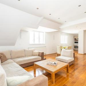 Spacious Apartment in Downtown