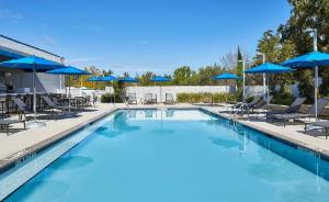 Four Points by Sheraton Tallahassee Downtown, Tallahassee