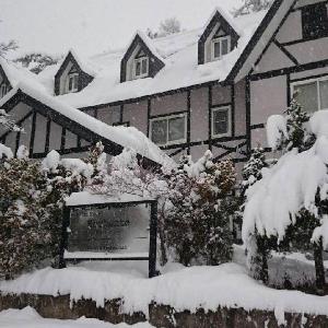 Petit Hotel Enchante