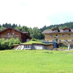 Erdhütte / Partyhütte / Bärwurz Reslhütte / Chalets