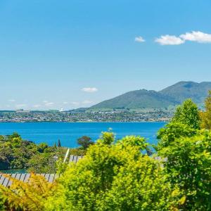 Bird Songs and lake views with wifi