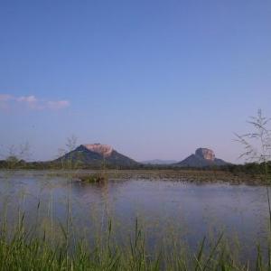 Sigiriya Vee Guest