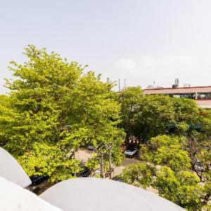 Tribe - Bespoke Hotel by FlxHo - Golf Course Road