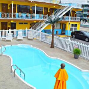 Hotels near Middle Township Performing Arts Center - Paradise Inn