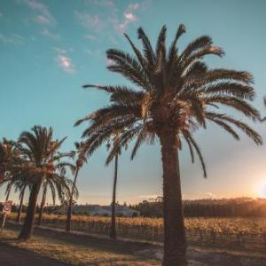 Hotels near Seppeltsfield Barossa - Seppelts View Cabins
