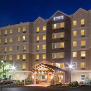 Hotels near Lippes Concert Hall - Staybridge Suites Buffalo-Amherst