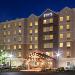 Hotels near UB Stadium - Staybridge Suites Buffalo-Amherst