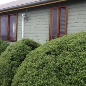 Kiama Harbour Cabins