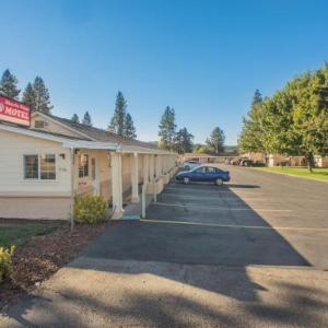 Shasta Pines Motel & Suites