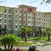 Volusia County Fairgrounds Hotels - Hampton Inn & Suites - DeLand