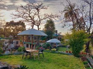 Forest Eco Lodge, Mount Abu