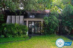 BED Phrasingh-Adults Only, Chiang Mai