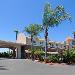 California State University San Marcos Hotels - Holiday Inn Express Hotel & Suites San Diego-Escondido an IHG Hotel