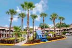 Palma Ceia Florida Hotels - Hotel South Tampa & Suites