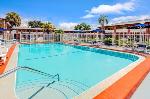 Sons Of Italy Lodge Florida Hotels - Holiday Inn Express & Suites Tampa Stadium - Airport Area