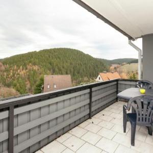 Detached group house in the Upper Harz with large garden and playground