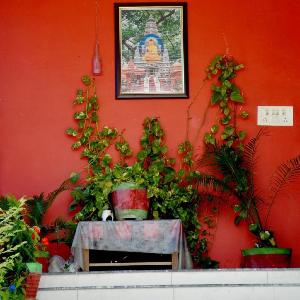 Hotel Bodh Vilas