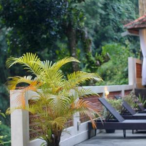 Hanaka Riverside Ubud