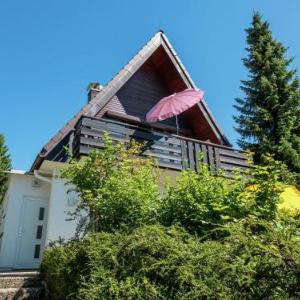 Cosy Holiday Home in Niedergebisbach near Ski Area