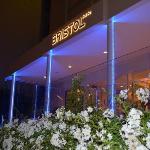 Hotel Bristol Cattolica