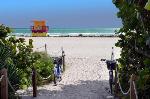 City Center Florida Hotels - Hilton Garden Inn Miami South Beach-Royal Polo