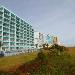 Hotels near Burroughs and Chapin Pavilion Place - Tropical Seas Hotel