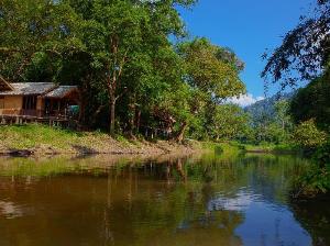Khaosok Riverside Cottages - SHA Certified, Khao Sok