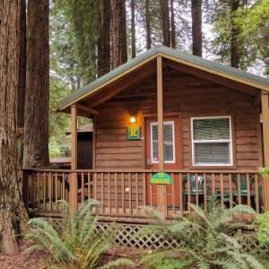 Emerald Forest Cabins