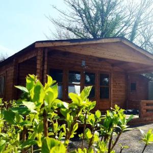 Hotels near Carnglaze Caverns - Pine Green Valley