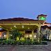 Hotels near USF Recreation Center - La Quinta Inn & Suites by Wyndham Usf (Near Busch Gardens)