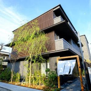 YANAKA SOW